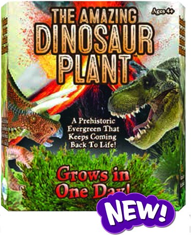 The Amazing Dinosaur Plant by DuneCraft Brand New 2003 Sealed 
