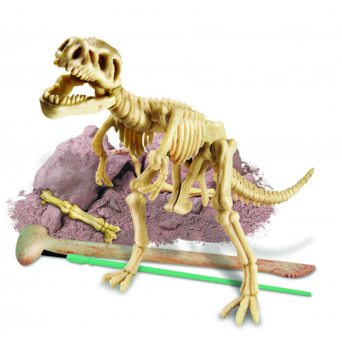 Dig a Tyrannosaurus (Kidz Labs)