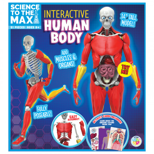 Interactive Human Body - Be Amazing
