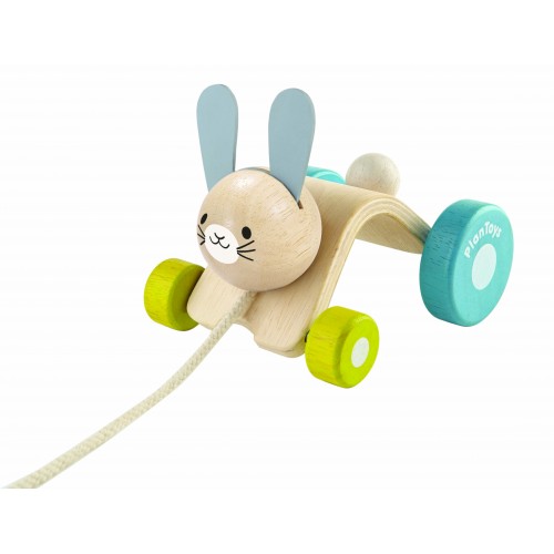 Hopping Rabbit Pull-along Toy